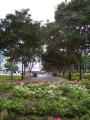 img030.jpeg.small.jpeg