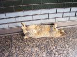 img034.jpeg.small.jpeg