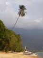 img011.jpeg.small.jpeg