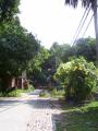 img022.jpeg.small.jpeg