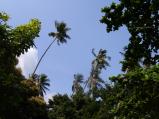 img023.jpeg.small.jpeg