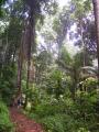 img027.jpeg.small.jpeg