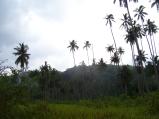 img029.jpeg.small.jpeg