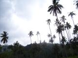 img030.jpeg.small.jpeg