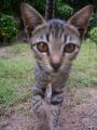 img039.jpeg.small.jpeg